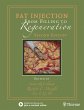 Fat Injection (eBook, PDF) - Bild 1