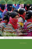 Spaces of Capital/Spaces of Resistance (eBook, ePUB)