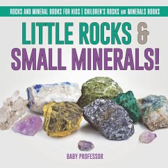 Little Rocks & Small Minerals!   Rocks And Mineral Books for Kids   Children's Rocks & Minerals Books - Baby