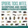 Spiders, Ticks, Mites, Scorpions and... - Bild 1