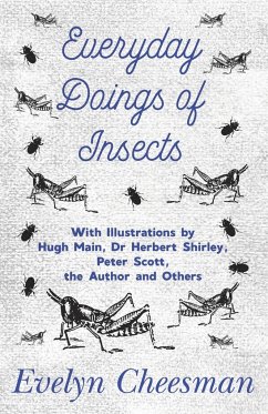 Everyday Doings of Insects - With Illustrations by Hugh Main, Dr Herbert Shirley, Peter Scott, the Author and Others