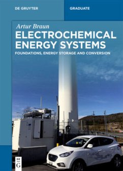 Electrochemical Energy Systems - Braun, Artur