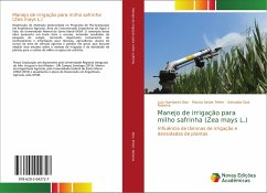 Manejo de irrigação para milho safrinha (Zea mays L.)