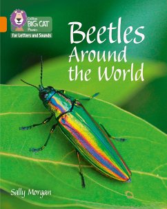 Beetles Around the World - Morgan, Sally