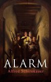 Alarm (eBook, ePUB)
