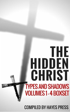 The Hidden Christ - Volumes 1-4 Box Set (eBook, ePUB) - Press, Hayes