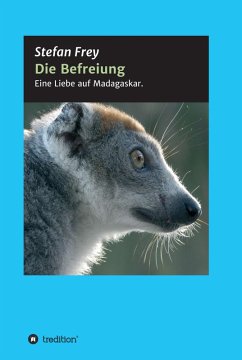 Die Befreiung (eBook, ePUB) - Frey, Stefan