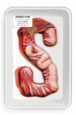 S (eBook, ePUB) S (eBook, ePUB)
