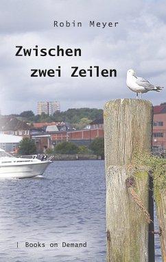 Zwischen zwei Zeilen (eBook, ePUB) - Meyer, Robin