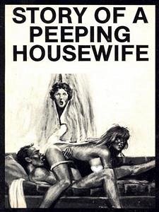 Story Of A Peeping Housewife - Adult Erotica (eBook, ePUB) - Wayne, Sand