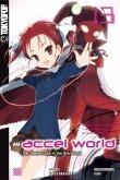 Accel World / Accel World - Novel Bd.13