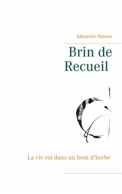 Brin de Recueil (eBook, ePUB) - Belluso, Sébastien