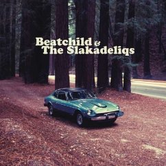 Heavy Rockin' Steady - Beatchild & The Slakadeliqs