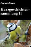 Kurzgeschichtensammlung II (eBook, ePUB)