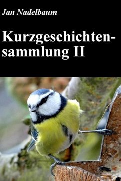 Kurzgeschichtensammlung II (eBook, ePUB) - Nadelbaum, Jan