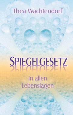 Spiegelgesetz in allen Lebenslagen (eBook, ePUB)