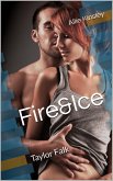 Taylor Falk / Fire&Ice Bd.14 (eBook, ePUB)