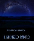 Il Ragazzo Rapito (eBook, ePUB)