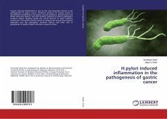 H.pylori induced inflammation in the pathogenesis of gastric cancer