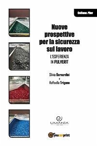 Nuove prospettive sulla sicurezza sul lavoro. L'esperienza in Pulverit (eBook, ePUB) - Bernardini, Silvia; Trigona, Raffaella