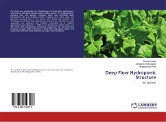 Deep Flow Hydroponic Structure