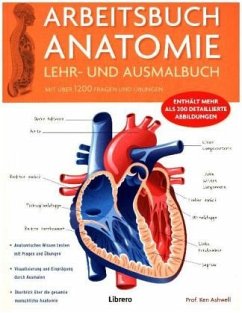Arbeitsbuch Anatomie - Ashwell, Ken