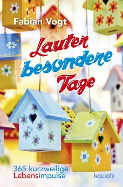 Lauter besondere Tage (eBook, ePUB) - Vogt, Fabian