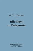 Idle Days in Patagonia (Barnes & Noble Digital Library) (eBook, ePUB)