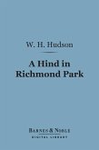 A Hind in Richmond Park (Barnes & Noble Digital Library) (eBook, ePUB)