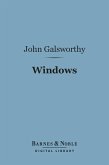 Windows (Barnes & Noble Digital Library) (eBook, ePUB)
