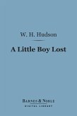 A Little Boy Lost (Barnes & Noble Digital Library) (eBook, ePUB)