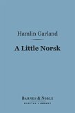 A Little Norsk (Barnes & Noble Digital Library) (eBook, ePUB)