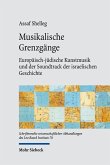 Musikalische Grenzgänge (eBook, PDF)