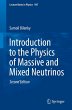 Introduction to the Physics of Massive... - Bild 1