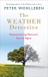The Weather Detective (eBook, ePUB) - Bild 1