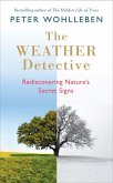 The Weather Detective (eBook, ePUB)