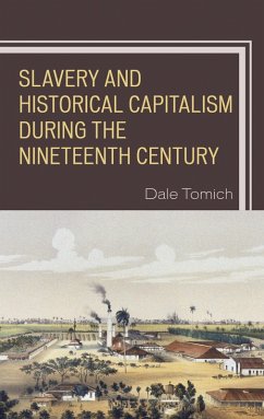 Cover Slavery and Historical Capitalism during the Nineteenth Century (eBook, ePUB)
