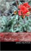 Elizabeth's Christmas Wish: A Pride and Prejudice Sensual Intimate (eBook, ePUB) Elizabeth's Christmas Wish: A Pride and Prejudice Sensual Intimate (eBook, ePUB)
