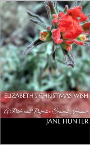 Elizabeth's Christmas Wish: A Pride and Prejudice Sensual Intimate (eBook, ePUB)
