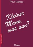 Kleiner Mann, was nun? (eBook, ePUB)