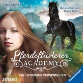 Ein geheimes Versprechen / Pferdeflüsterer Academy Bd.2
