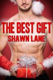 Best Gift (eBook, ePUB)