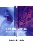 I of the Vortex (eBook, ePUB)