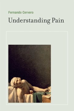 Understanding Pain (eBook, ePUB) - Cervero, Fernando