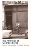 Afterlives of Georges Perec (eBook, PDF)