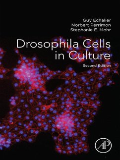 Drosophila Cells in Culture (eBook, ePUB) - Echalier, Guy; Perrimon, Norbert; Mohr, Stephanie E