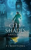 The City of Shades (eBook, ePUB)