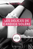 Les délices de Candice Solère (eBook, ePUB)