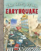 Earthquake (eBook, ePUB)