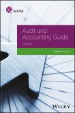 Audit and Accounting Guide (eBook, ePUB)